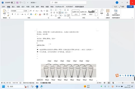 基因拷贝数的计算，标准曲线绘制和QPCR绝对定量
