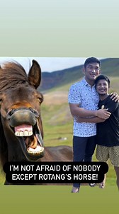 894K views · 57K reactions | Rotang’s horse vs Burmese Python  | Aung La Nsang(Burmese Python) | Facebook