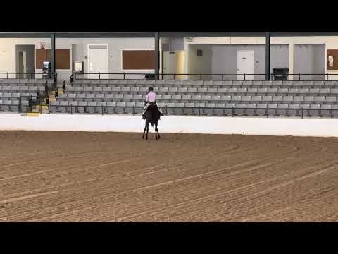 Miz Mosler @ RRP Makeover 2025 Ranch Riding Pattern