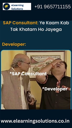 SAP Consultant vs Developer Funny Video | Real IT Life 😄