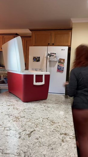 6 Tips for Dealing with a Broken Refrigerator