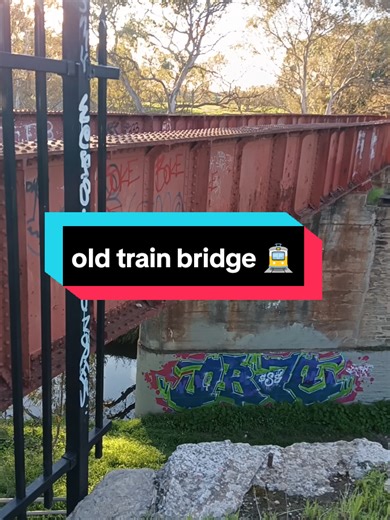 lots of cool graffiti