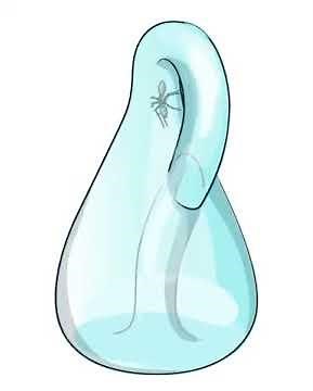Animated topology: Ant walk on the Klein bottle
