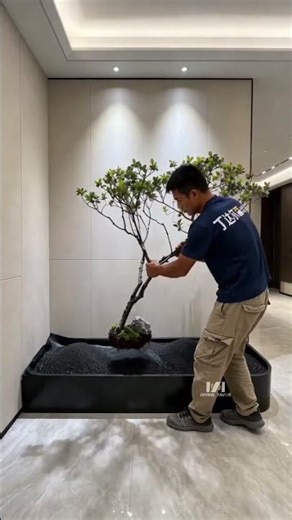A charming entryway softens the overall ambiance of the house #SpaceDesign #gardendesign #garden #p