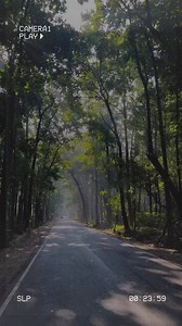 Morning Inspiration... #plusmodelmag | Plus Model Magazine