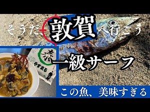 【ショアジギング】敦賀サーフで釣れた魚が美味すぎる