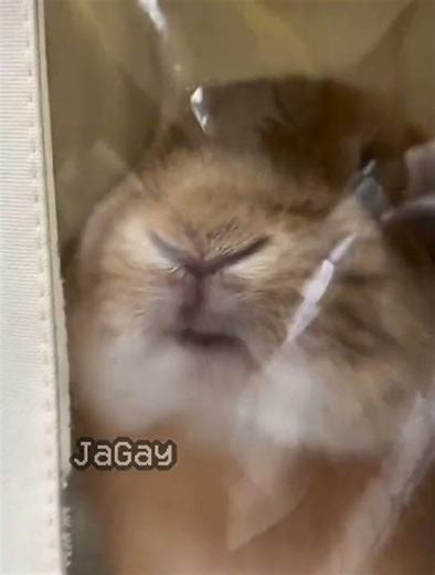 half life (-1.38) (no effort) #halflife #halflife1