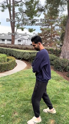 Dogs vs cats when they have to use the restroom. @petkitus @PETKIT #petkit #purobot #purobotmaxpro2 #selfcleaninglitterbox #litterbox | Ariaais Deluxx