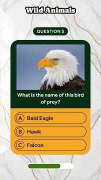 Ultimate Wild Animals Trivia | Easy → Hard