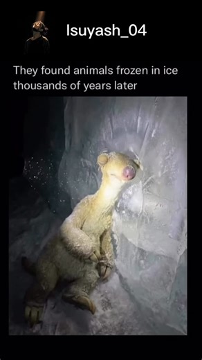 suyash♤♡ on Instagram: "new AI-generated video by 3D artist Itay Shay reimagines the Ice Age characters—Manny, Sid, Diego, and Scrat—slowly emerging from prehistoric ice, set to ABBA’s Slipping Through My Fingers. The familiar cast is transformed into something unexpectedly reflective, turning a beloved animated franchise into a quiet meditation on time, memory, and growing up. Posted on December 20, 2025, the clip quickly gained traction, surpassing 638,000 views and 24,000 likes within hours. 