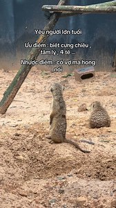 460K views · 7.4K reactions | Anh thích giấu vợ không?  Em cho anh...