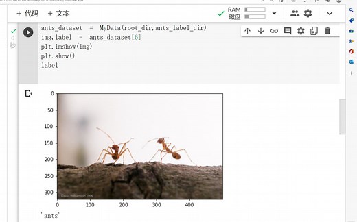 【02】google Colab ｜pytorch Dataset类代码实战 免费GPU google Colaboratory 使用教程.mp4