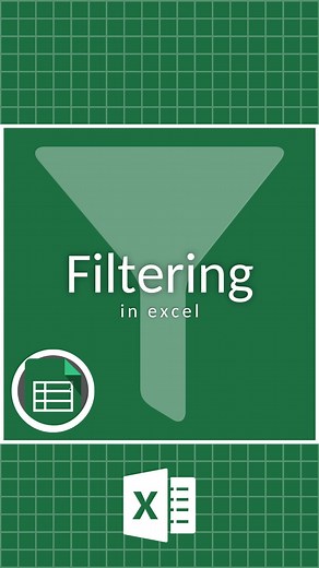 CheatSheets on Instagram: "How to Filter in Excel‼️ ️ Save for Later!  Share with a Friend! ⭐️ Favorite @TheCheatSheets to never miss a tip! Ready to Excel to the Next Level?  Check out the link in our profile for everything you need to level up:  Excel Courses  100+ Templates  Practice Files  Excel Help & More! ❤️ and follow for daily tips #cheatsheets #excel #exceltips #exceltricks #googlesheets #spreadsheet #accounting #finance #corporate #tutorial"