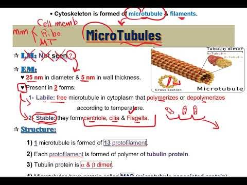 Crach course II Non membranous organelles II الزقازيق