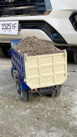 Mainan mobil truk remot control