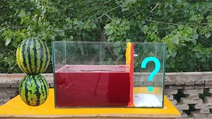 9.4K views · 102 reactions | Amazing experiment of watermelon | POWER TEST | Facebook