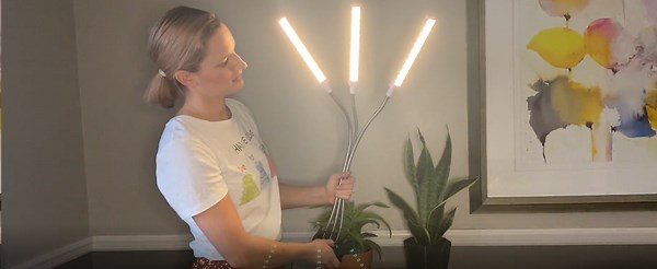 Watch Indoor Plant Grow Light, LED Full Spectrum Plant Light on Amazon Live