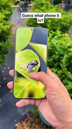 Discover the latest trending smartphone features that impress