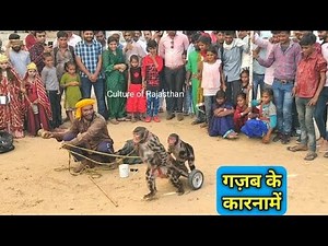 Bandar Bandariya Ka Khel || मदारी का खेल || Comedy Video | Bandar wala khel