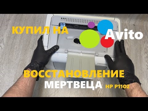 I bought #3 HP P1102 "Restoration of the Dead" on AVITO.