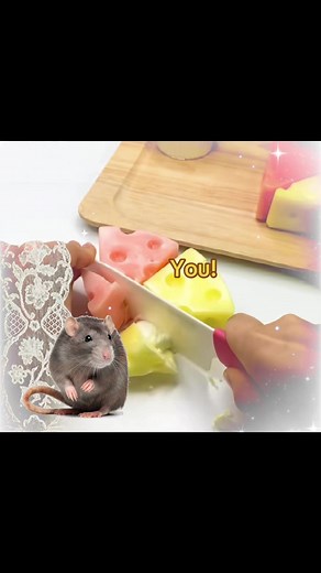 Join a Judgement-Free Discord Server Today!