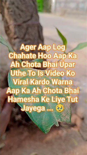 Soo Bhai Log Me Kabhi Umid Nehi Kiya Tha " Ki Me YouTube Ki Madat Lena "