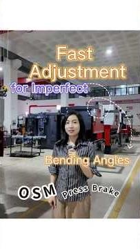 Fast Adjustment for Imperfect Press Brake Bending Angles