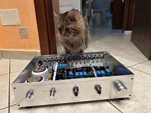 Nelson Pass Aleph 1.7 balanced preamplifier by PETER 2025