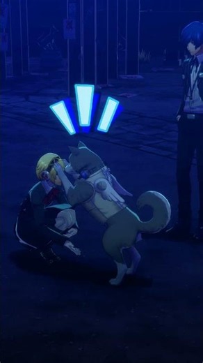 Aigis and Koromaru shake!