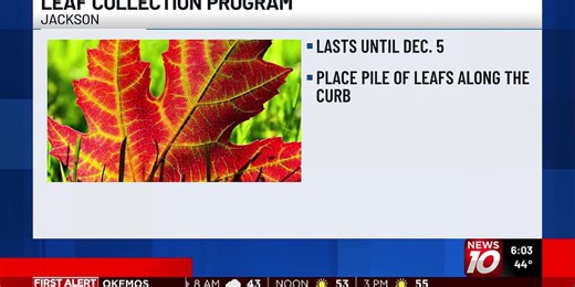 Jackson’s fall leaf collection program set to begin Monday
