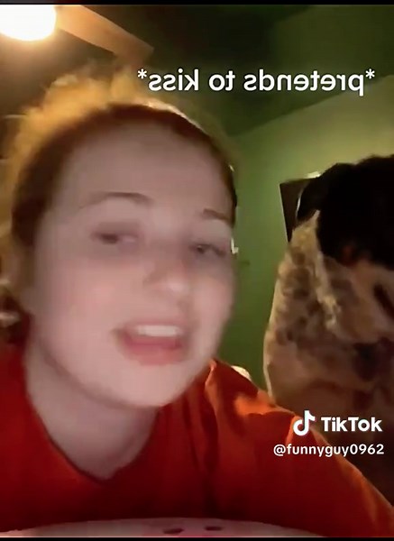 Hilarious Prank Videos to Brighten Your Day