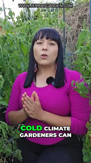 Explore the essential tips for planting root crops based on your climate. Whether you’re in a cold or hot region, we cover when to sow potatoes, carrots, radishes, and more for a bountiful harvest. Discover the secrets to thriving with tropical root crops! Find unique seeds & plants on my website: https://www.jerrasgarden.com Check out my YouTube channel for more gardening tips: https://www.youtube.com/@jerrasgarden #RootCrops #GardeningTips #ColdClimateGardening #HotClimateGardening #VegetableG