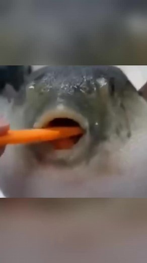 EXCUSE ME #cod #modernwarfare2 #shipment247 #mw2 #callofduty