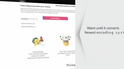 Video Watermark Remover Online