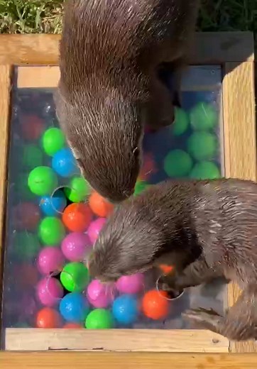 user92150589190 on TikTok