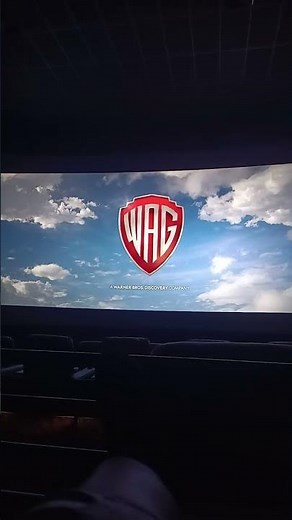 Warner Bros Pictures/Warner Animation Group/DC Comics/Seven Bucks Productions (2022)