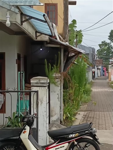 𝗮𝗹𝗳𝗮 𝗰𝗶𝗯𝗿𝗲𝘁 (@kenz.inhere)’s videos with suara asli - WOLF - Hapidz Ichwan Imannulhak
