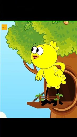 Why do birds chirp in morning #shorts