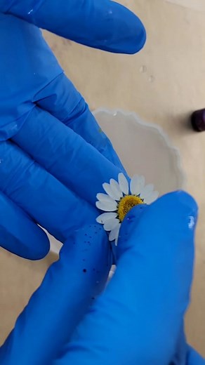 I messed this one up but I still like it 🌸💗 #epoxy #resinflowerart #resinflowercoasters #resina #resinflowercoaster #resinflowers #resintutotial #resintutorials #resinpourin #pouringresinn #resinpoursatisfying