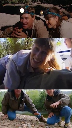 Happy birthday to Terri Irwin from the Australia Zoo Crew! 🐊