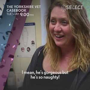 14K views · 28 reactions | This poor pooch has only gone and swallowed a spatula.  | Channel 5 | Facebook