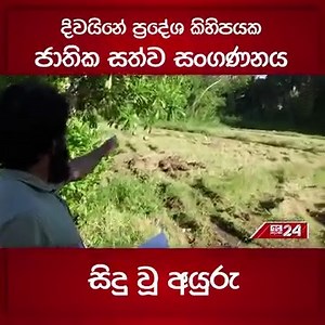 දිවයිනේ ප්‍රදේශ කිහිපයක ජාතික සත්ව සංගණනය සිදු වූ අයුරු #AnimalCensus #Monkey #SriLanka | Ada Derana Sinhala