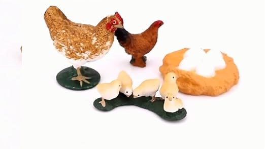 MODEBESO Animal Life Cycle,Insect Growth Cycle Model