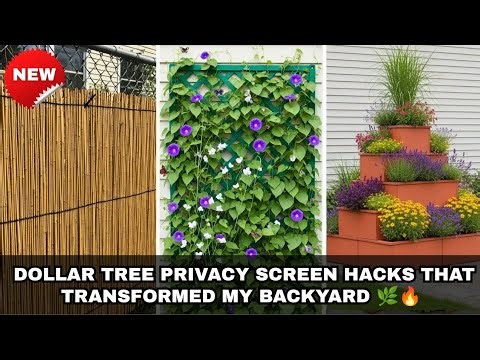 Dollar Tree DIY Privacy Screen Hacks That Transformed My Backyard | 2026 Garden Hacks.