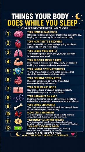 12 Incredible Things Your Body Does Overnight! 🌙✨ #shortsfeed #shorts