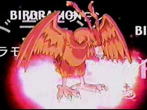Biyomon digivolving to Birdramon
