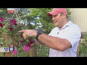 AJ Petitti's tips for boosting Summer Flower Blooms