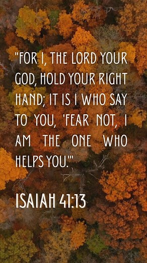 Spruce Lake Retreat on Reels