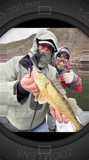 White River walleye fishing