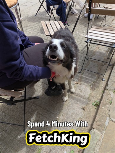 Spend 4 Minutes with the FetchKing | Fetch